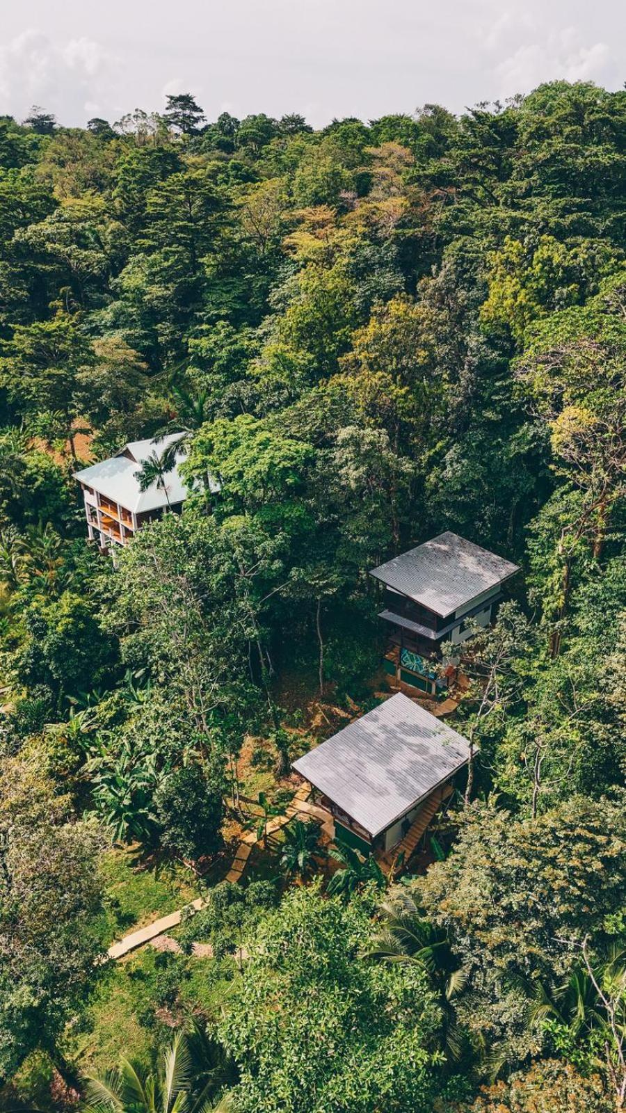 Roam Yoga & Wellness Lodge ボカス・タウン エクステリア 写真